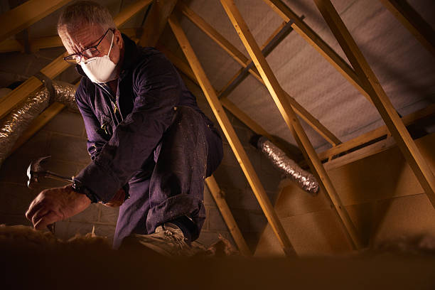Best Insulation Maintenance and Repair in Fontana, CA